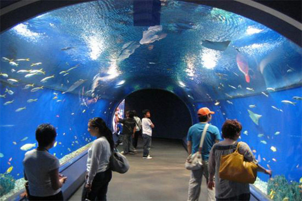 Discover the Red Sea with Hurghada Grand Aquarium