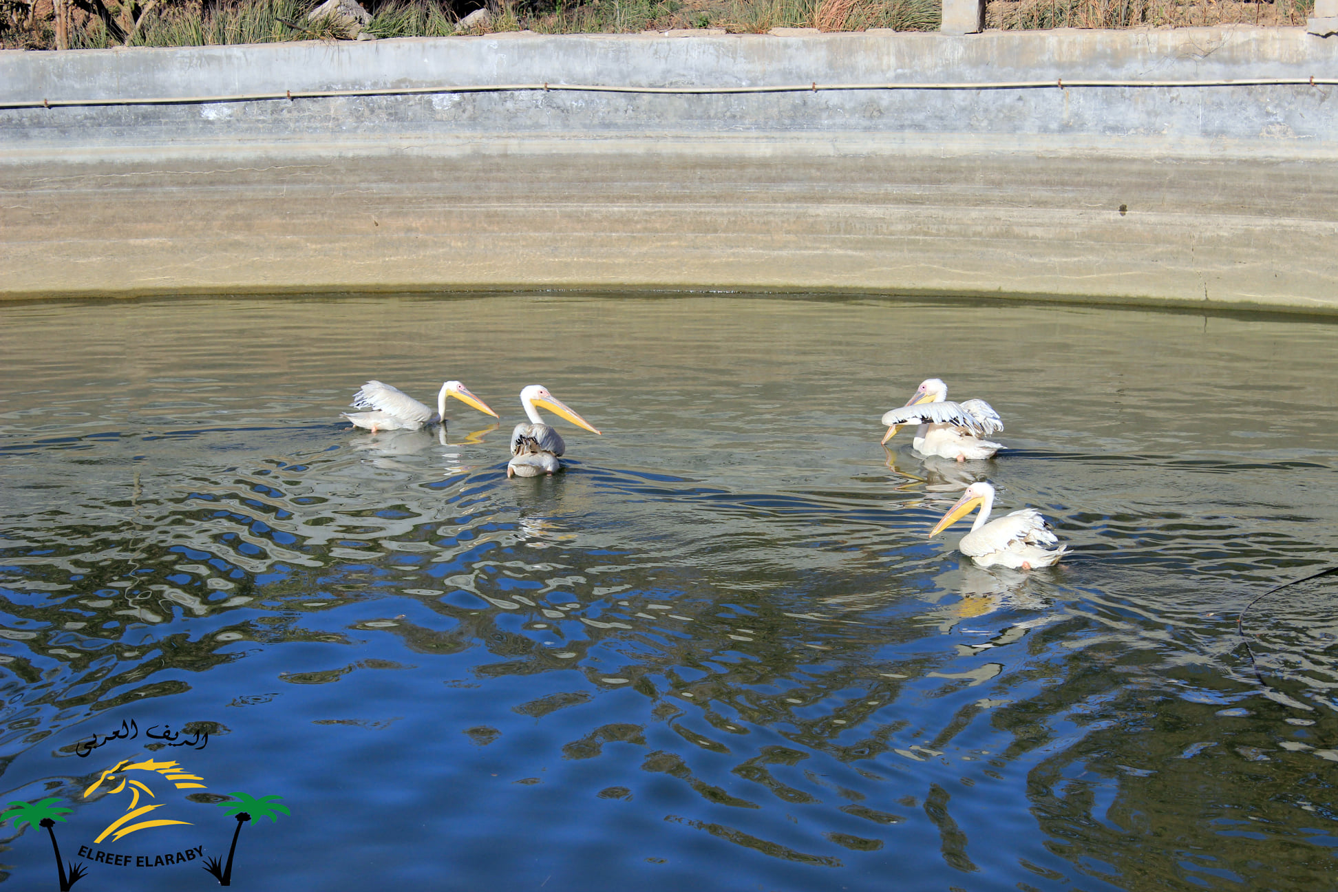 استمتع بيومك مع أصدقائك وعائلتك في قرية الريف العربي