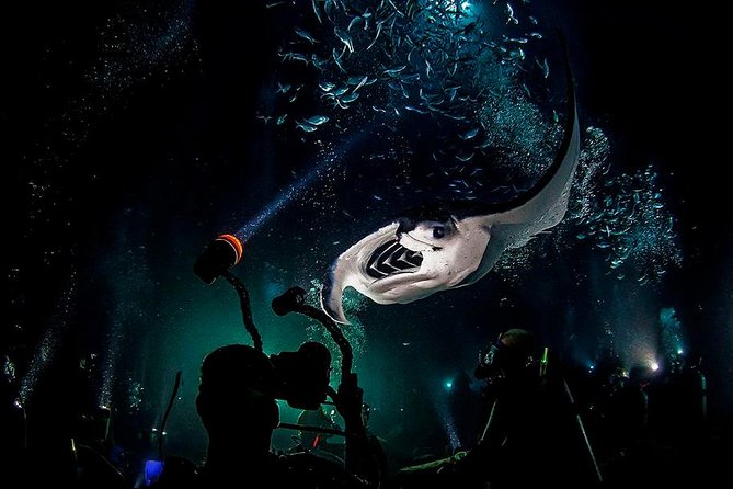 Night Dive Specialty Course