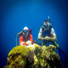 PADI open water diver referral 
