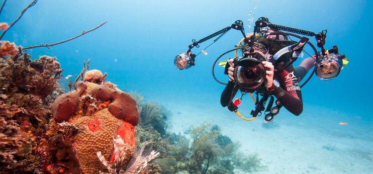 Digital Underwater Photographer