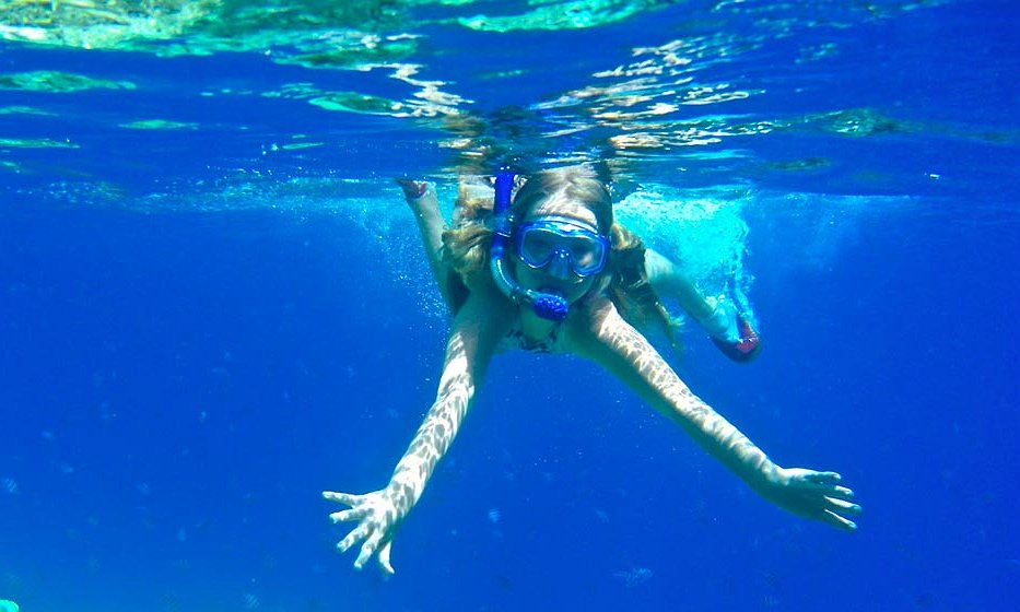 السباحة مع رحلة الدلافين والغطس فى مرسى علم