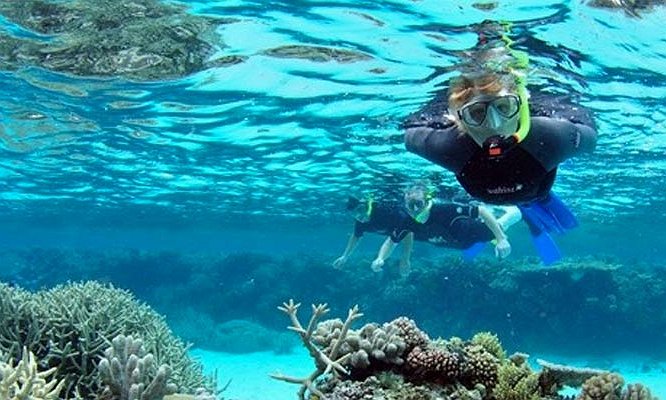 السباحة مع رحلة الدلافين والغطس فى مرسى علم