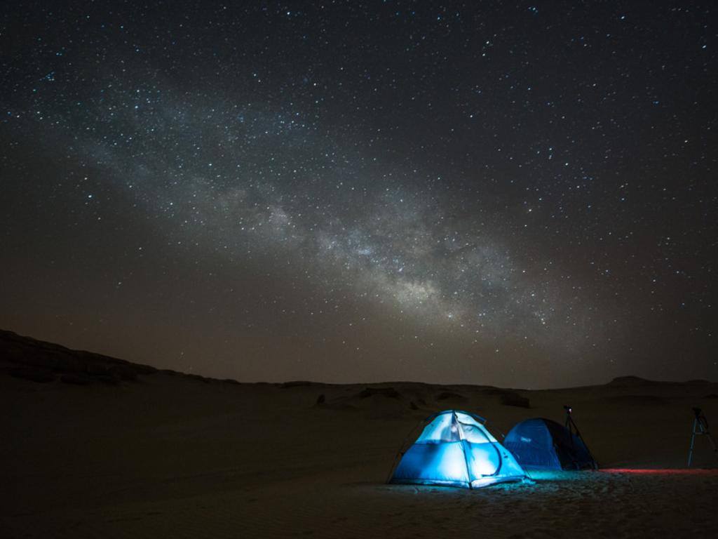 A trip to Wadi Al Hitan