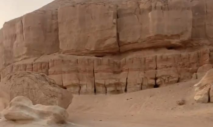 Horse riding lessons in Al-Ahsa