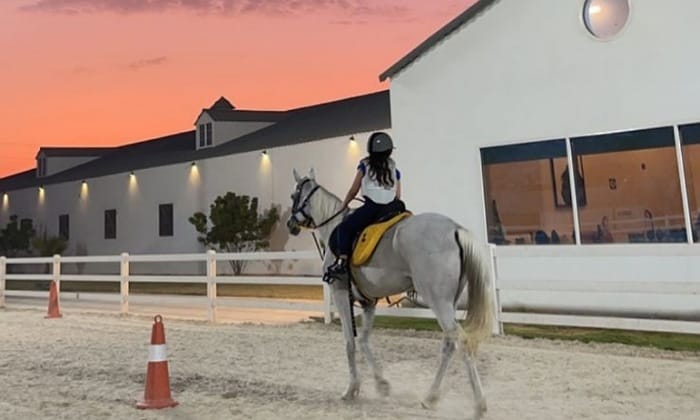 Horse riding lessons in Al-Ahsa