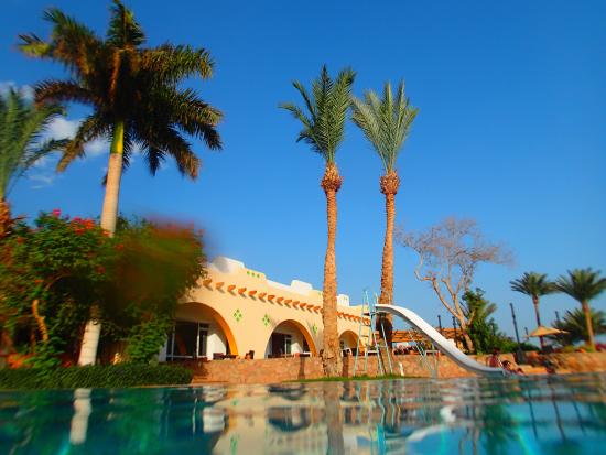 Trip to Tirana Dahab Resort