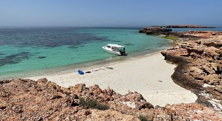  رحلة خاصة لمدة 8 ساعات إلى جزيرة الديمانيات
