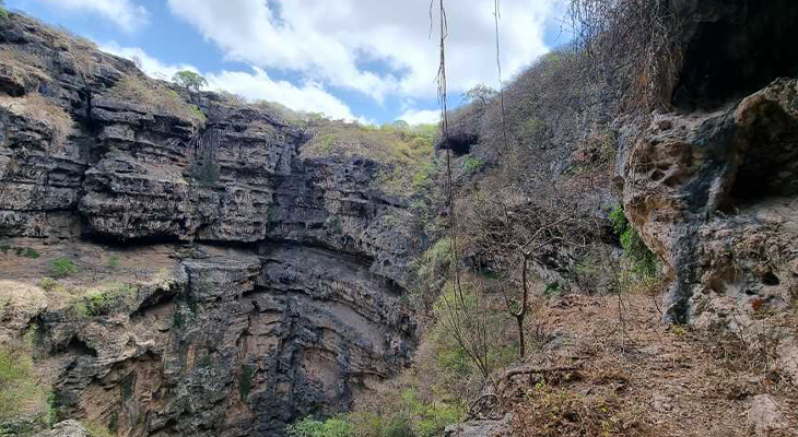 رحلة نصف يوم خاصة مدتها 5 ساعات في صلالة