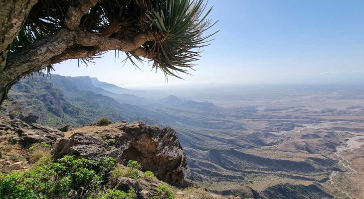 رحلة نصف يوم خاصة مدتها 5 ساعات في صلالة