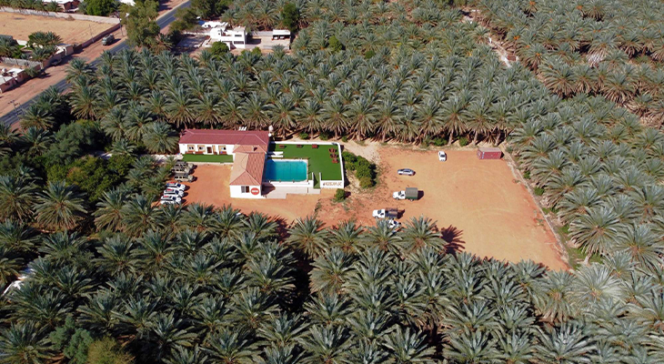 Camping Experience in Al-Ula +Two Other Activities