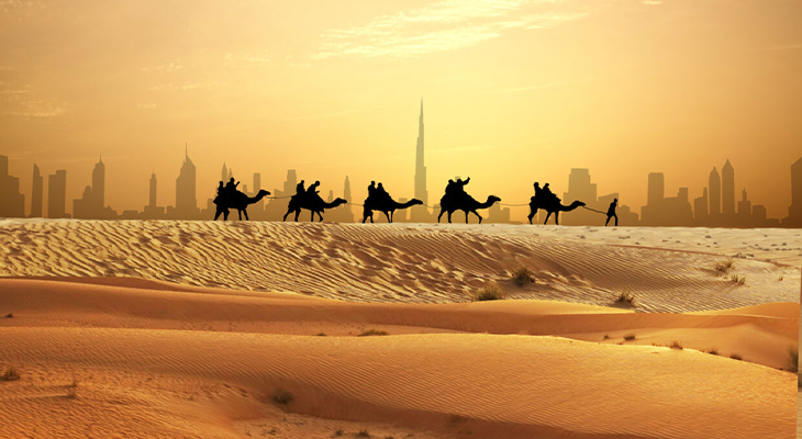 6 Hours Ultimate Evening Safari For 144 Instead of 180 AED