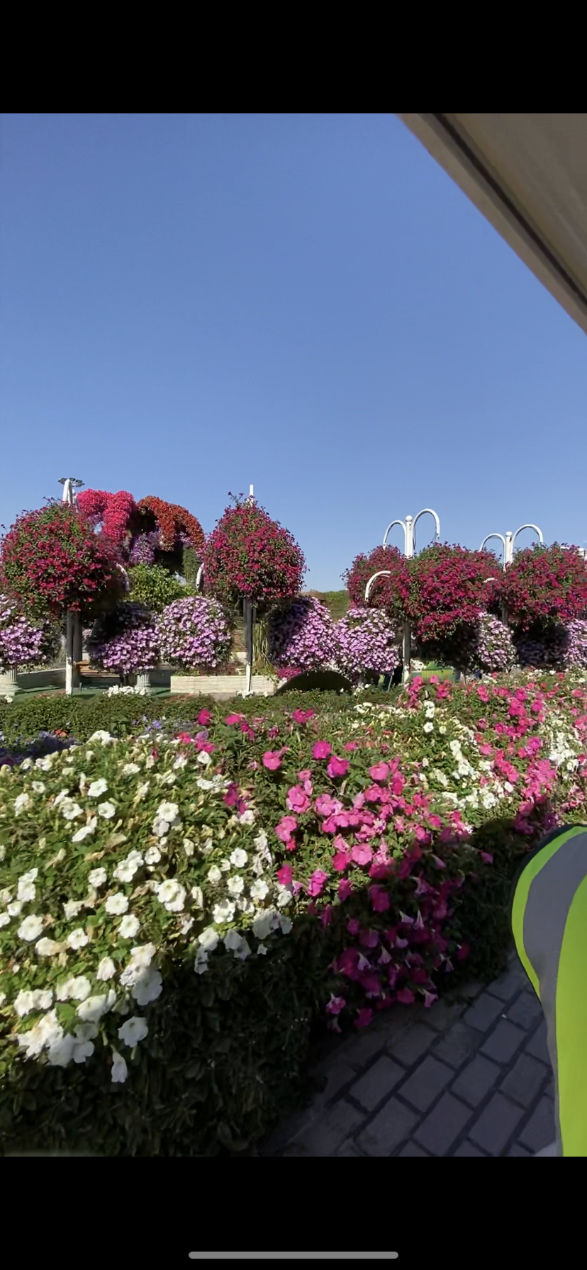 صورة من التقييمات 1