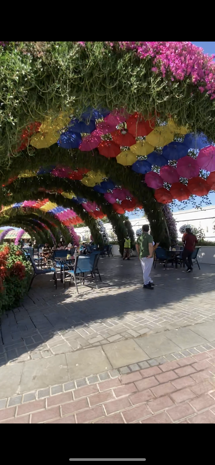 صورة من التقييمات 2