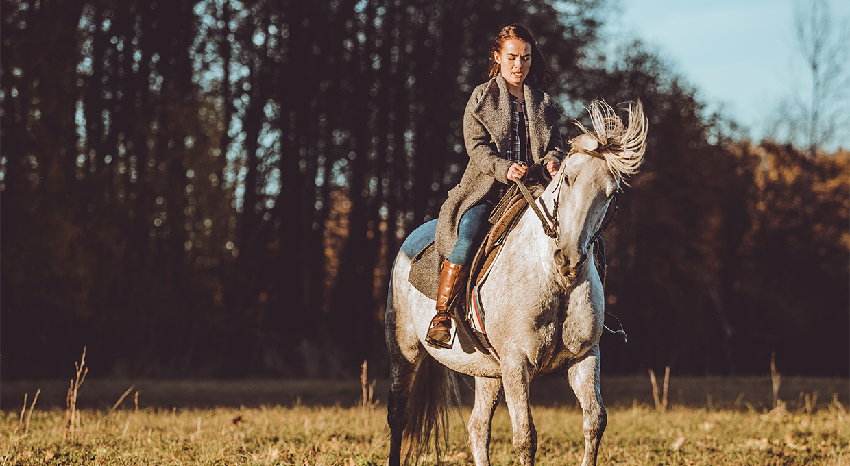 ركوب الخيل لمدة ساعة في غابات كرزكان