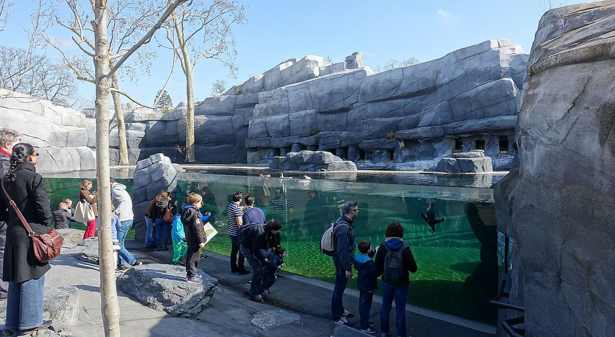 Entry Ticket to Parc Zoologique de Paris in Vincennes