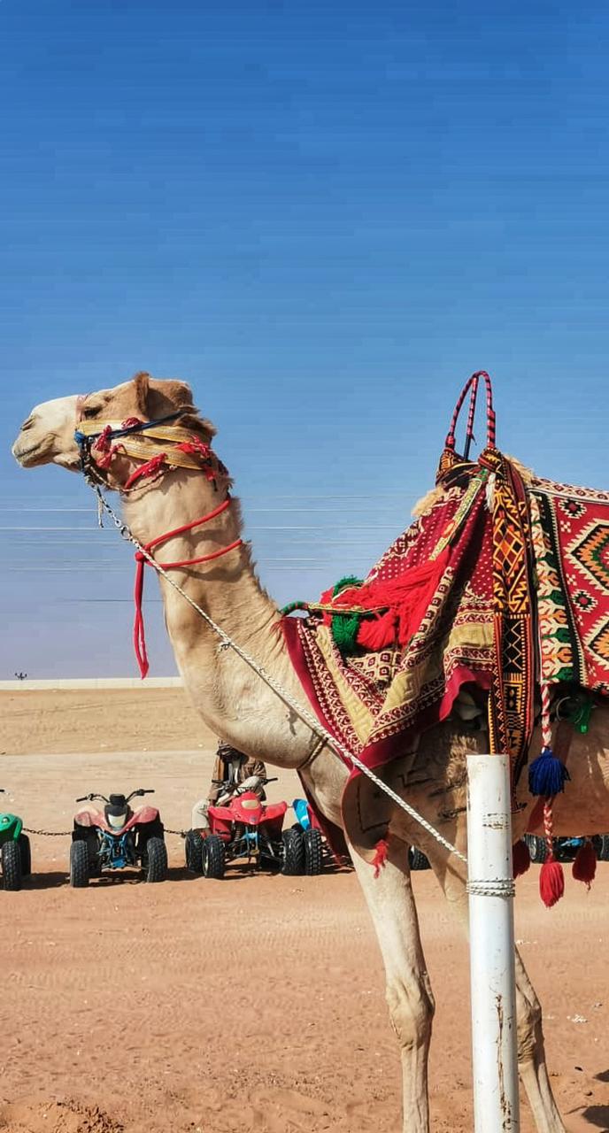 Sunset Experience in Riyadh Desert at Red Sands Resort