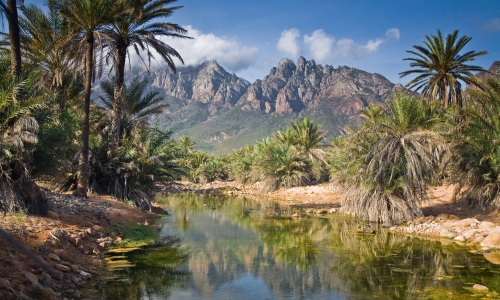 The most beautiful islands: The alien charm of Socotra Island