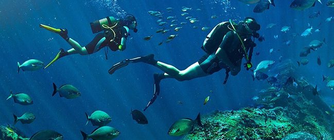Scuba dive in La Restinga Marine Reserve - Where to go in the Canary Islands