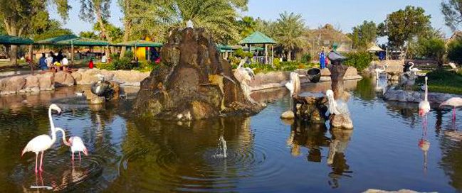 Al Areen Wildlife Park & Reserve