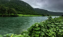 Salalah Nature 