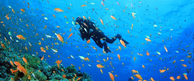 Scuba diving in Marsa Alam, Egypt