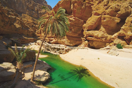 Omani desert 