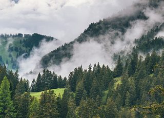 السياحة في جبال الألب: ماذا تفعل في دولة ليختنشتاين