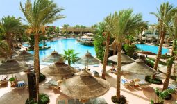 The Summer Nights of Sharm El Sheikh 