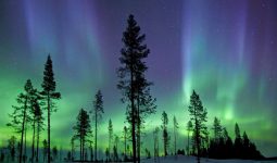 wp-content/uploads/2019/02/Northern-Lights-in-Finland-Alan-Flora-Botting-via-Flickr.jpg