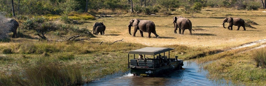 Safari Jeep Tours Between the Wildlife and Spectacular Deserts