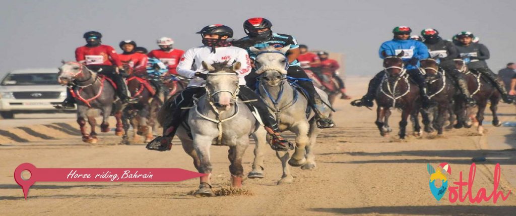 Horse riding in Bahrain