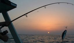 الصيد في البحرين
