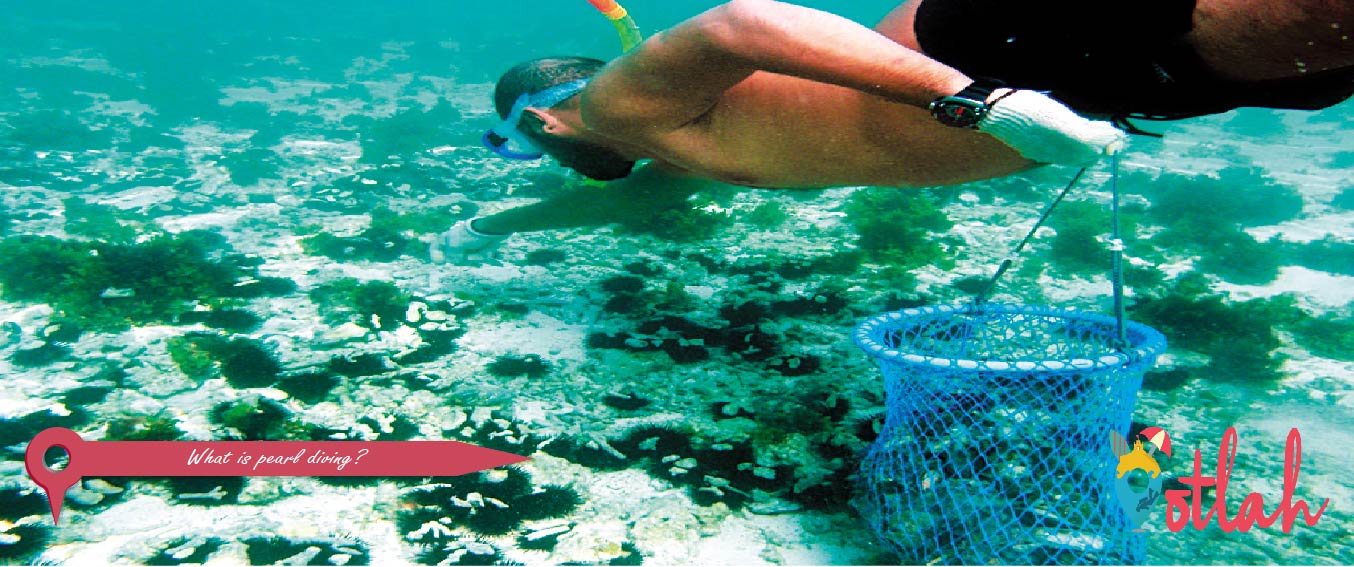 Pearl Diving Bahrain Experience Diving and Have a Precious Pearl