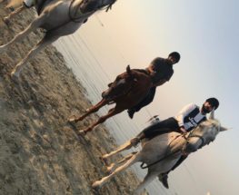 Horse riding in Bahrain