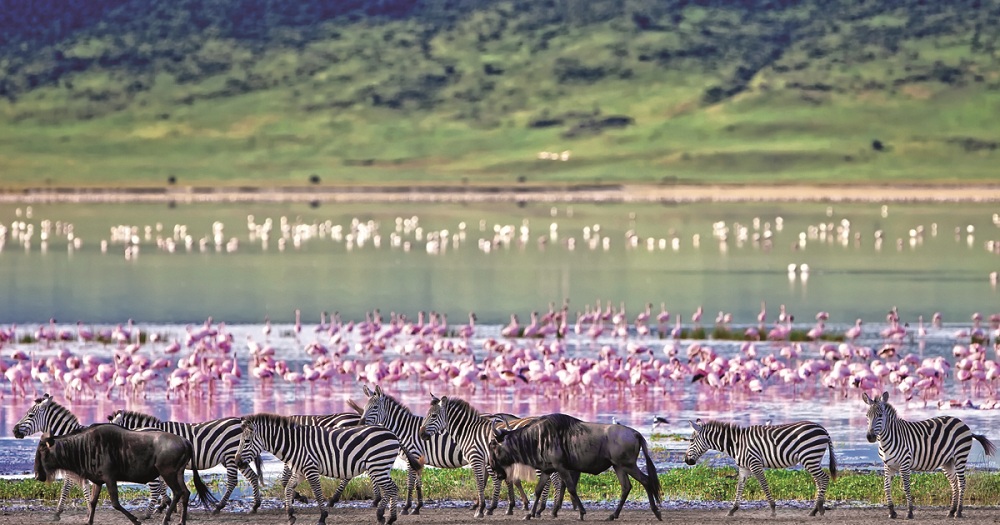 Amazing Tanzania safari 8 days/7nights 