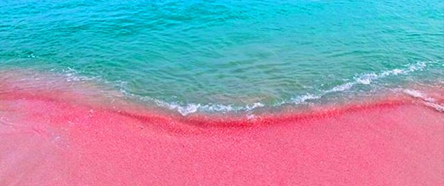 2- الشاطئ الوردي