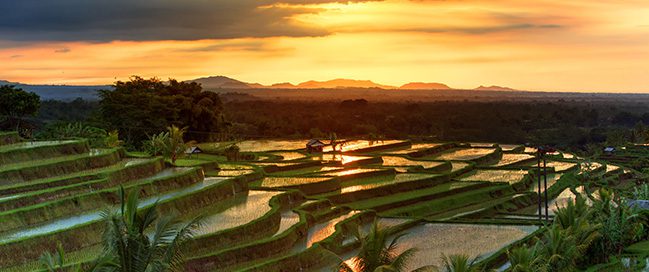 1- استكشف حقول الأرز في تابانان