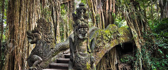 2- Spend time with the monkeys at Monkey Forest