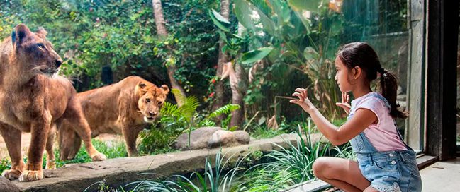 3- Get back to nature at Bali Zoo