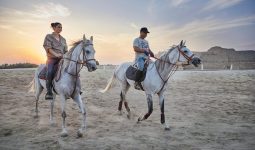 رحلة ركوب الخيل مع غروب الشمس في البحرين وجولة في الاسطبل