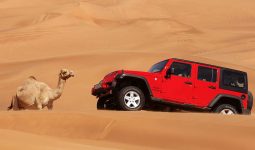 enjoy the safari desert experience in riyadh