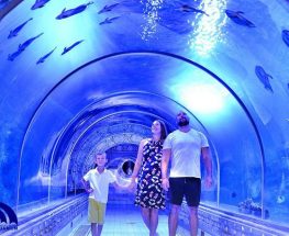 Discover the Red Sea with Hurghada Grand Aquarium