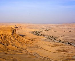 استمتع بيوم مشمس فريد في حديقة الثمامة