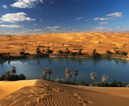 Enjoy a Day Tour to El Fayoum Oasis and Wadi al Rayan
