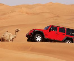 استمتع بتجربة السفاري الصحراوية في الرياض