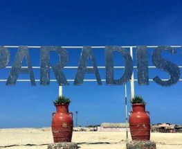 Paradise Island Full-Day Snorkeling Tour