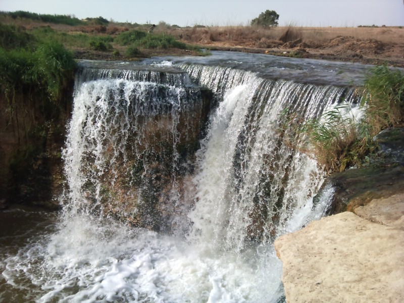 Enjoy a Day Tour to El Fayoum Oasis and Wadi al Rayan