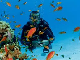 Scuba Diving Excursion in EL Gouna