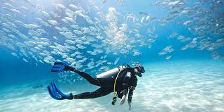 Scuba Diving Excursion in EL Gouna